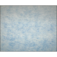 Filtres en m&eacute;dias synth&eacute;tiques &agrave; arrestance &eacute;lev&eacute;e, Tampon, MERV 5, 24" la x 2" p x 12" h Distribution Élite MP