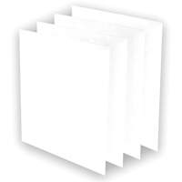 Pr&eacute;-filtres AeraMax Pro AM3 ou AM4, 13,75" la x 0,13" p x 14,38" h Distribution Élite MP