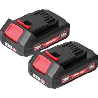 Piles au lithium 2.0Ah- Paquet de 2, 20 V Distribution Élite MP