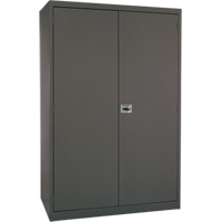 Armoires de rangement Hi-Boy profondes, Acier, 4 Tablettes, 72" h x 36" la x 24" P, Charbon Distribution Élite MP