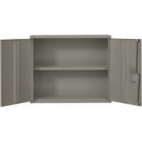 Armoire murale, Acier, 2 Tablettes, 30" h x 36" la x 12" P, Gris Distribution Élite MP