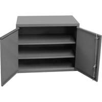 Wall-Mounted Cabinet, 27" H x 13-11/16" W x 35-7/8" D, 2 Shelves, Steel, Grey Distribution Élite MP