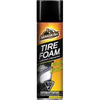 Tire Foam&reg; Protectant Distribution Élite MP