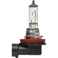 H8 Basic Headlight Bulb, Halogen, 35 W, Off White Distribution Élite MP