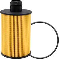 P40147 &eacute;l&eacute;ment filtrant pour l'huile Distribution Élite MP