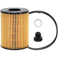 P40164 &eacute;l&eacute;ment filtrant pour l'huile Distribution Élite MP