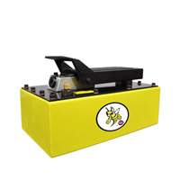 Pompe hydraulique &agrave; air de 5 pintes Distribution Élite MP