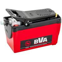 Single Acting 2-Speed Air Pump 122.1 in³ Reservoir Distribution Élite MP