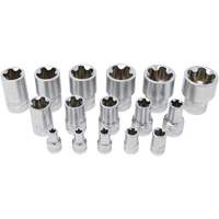 Jeu de douilles TORX EPR &agrave; 5 pans, 16 Morceaux, Prise de 1/4"/3/8"/1/2" Distribution Élite MP