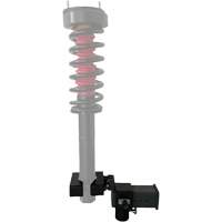 &eacute;l&eacute;vateur de jambe de force Distribution Élite MP