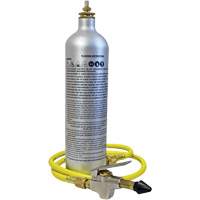 A/C System Flush Kit Distribution Élite MP