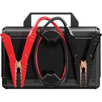 Survolteur V4000 HD 12 V/24 V 4000 A Distribution Élite MP