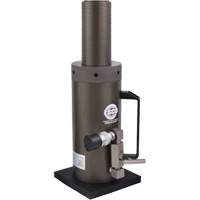 Safety Locking Collar Jack, 6" Stroke, 50 Ton(s) Capacity, 10000 PSI Distribution Élite MP