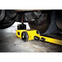 Hydraulic Service Jack, 22 Tons, Air Hydraulic Distribution Élite MP