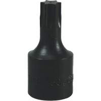 Embout Torx&reg; T-50 Distribution Élite MP
