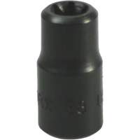 Douille Torx&reg; E-8 Distribution Élite MP