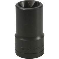 Douille Torx&reg; E-20 Distribution Élite MP