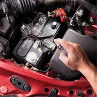 Battery Corrosion Preventative & Cleaner Kit Distribution Élite MP