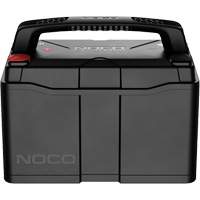 Group 31 120Ah Lithium-Ion LiFePO4 Dual-Purpose Battery Distribution Élite MP