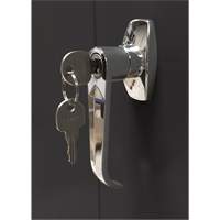 Armoire d'entreposage, Acier, 4 Tablettes, 66" h x 30" la x 15" P, Noir Distribution Élite MP