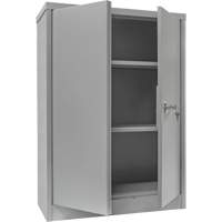 Armoire de rangement &agrave; hauteur de comptoir, Acier, 2 Tablettes, 42" h x 30" la x 15" P, Gris Distribution Élite MP