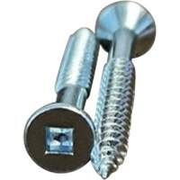 Flat SOC Wood Screws, #10 x 2" L, Zinc Plated Distribution Élite MP