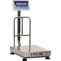 Bench Platform Scales