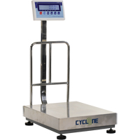 Balance &agrave; plateforme et d'&eacute;tabli Cyclone 300, Capacit&eacute; de 600 lb / 300 kg, 17-3/4" lo x 23-3/5" la Distribution Élite MP