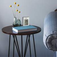 Thermom&egrave;tre sans fil int&eacute;rieur/ext&eacute;rieur, Sans contact, Analogique, 31-158°F (-35-70°C) Distribution Élite MP