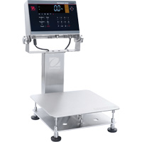Balance d&eacute;tabli lavable 6000 Defender, Capacit&eacute; de 25 lb, 11-4/5" lo x 11-4/5" la Distribution Élite MP