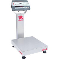 Balance de table multifonctionnelle 5000 Defender, Capacit&eacute; de 25  lb, 14" lo x 12" la Distribution Élite MP