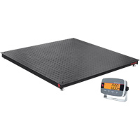 Balances de plancher Defender 3000, Capacit&eacute; de 5000 lb, 4' lo x 4' la Distribution Élite MP