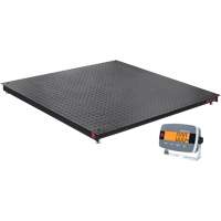 DEFENDER 3000 Floor Scale, 2500 lbs. Capacity, 48" W x 48" L Distribution Élite MP