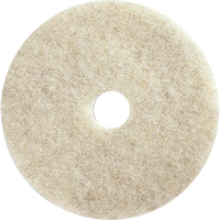 Floor Maintenance Pads, 21", Burnishing, Brown Distribution Élite MP