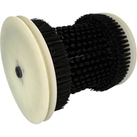 Brosse de recharge Distribution Élite MP