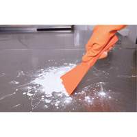 Racloir manuel grand format, Rose, 4" la x 10" lo Distribution Élite MP