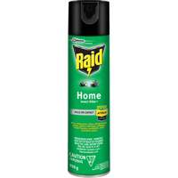 Raid&reg; Home Insect Killer, 350 g, Solvent Base Distribution Élite MP
