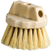 Brosse de nettoyage ronde, 5" l, Soies Tampico, Beige Distribution Élite MP