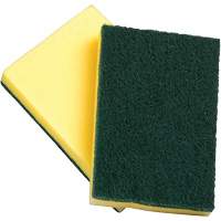 Sponges with Scouring Pad, Scrubbing, 4" W x 6" L Distribution Élite MP