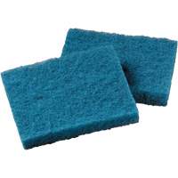 Non-Stick Cookware Cleaning Pad, Scrubbing, 5-1/4" W x 4" L Distribution Élite MP