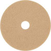 Trizact Diamond TZ Abrasive Strip, 20", Burnishing, Beige Distribution Élite MP