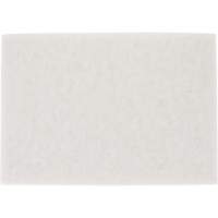 TopLine Speed Floor Pad, 14" x 20", Buffing/Cleaning/Polish, White Distribution Élite MP