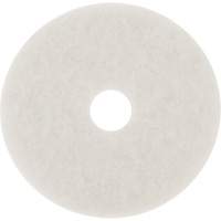 Floor Pad, 10", Buffing/Cleaning/Polish, White Distribution Élite MP