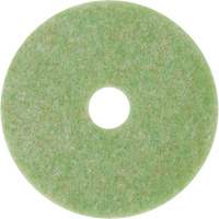 Natural Blend Pad, 13", Scrubbing, Green Distribution Élite MP