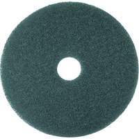 Hi-Performance Pad, 11", Cleaning/Scrubbing, Blue Distribution Élite MP