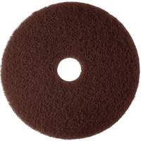 Natural Blend Pad, 12", Stripping, Brown Distribution Élite MP