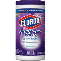 Disinfecting Wipes, 75 Count Distribution Élite MP