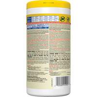 Disinfecting Wipes, 75 Count Distribution Élite MP