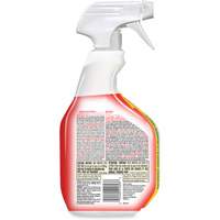 Disinfecting Bio Stain & Odour Remover, 946 ml, Trigger Bottle Distribution Élite MP