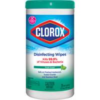 Disinfecting Wipes, 75 Count Distribution Élite MP